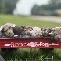 processed/05177ba3-fc76-40b7-b216-c96fab82fbb3/facility/5c95c141-5a40-4efd-883b-1c1cd0f94628