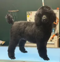 processed/05177ba3-fc76-40b7-b216-c96fab82fbb3/facility/5cf54934-3c52-4789-902f-ba1d8e01727d