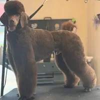 processed/05177ba3-fc76-40b7-b216-c96fab82fbb3/facility/72bb0d6e-3578-44a4-b134-3af4eef3ac82