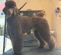 processed/05177ba3-fc76-40b7-b216-c96fab82fbb3/facility/72bb0d6e-3578-44a4-b134-3af4eef3ac82