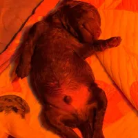 processed/05177ba3-fc76-40b7-b216-c96fab82fbb3/facility/8f4023b4-97c2-4a49-b6cf-8681e2a72109