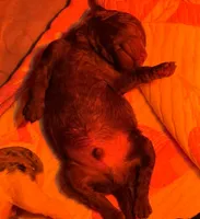 processed/05177ba3-fc76-40b7-b216-c96fab82fbb3/facility/8f4023b4-97c2-4a49-b6cf-8681e2a72109