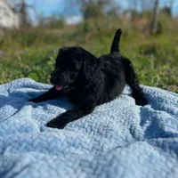 processed/05177ba3-fc76-40b7-b216-c96fab82fbb3/facility/8fff7830-864c-43c3-b0a0-c8618f39877d