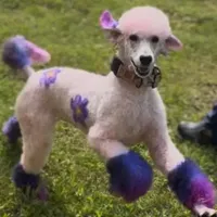 processed/05177ba3-fc76-40b7-b216-c96fab82fbb3/facility/c3da6da2-0ad2-470f-8916-76a86570b4bc