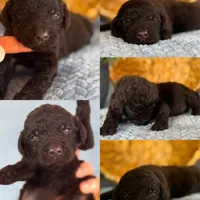 processed/05177ba3-fc76-40b7-b216-c96fab82fbb3/facility/cb1ee551-335b-44f5-b2d9-1d74893f046d