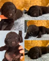 processed/05177ba3-fc76-40b7-b216-c96fab82fbb3/facility/cb1ee551-335b-44f5-b2d9-1d74893f046d