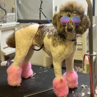 processed/05177ba3-fc76-40b7-b216-c96fab82fbb3/facility/f5a734b7-af29-4d30-b892-29d03b10ce95