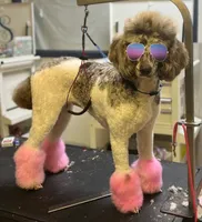 processed/05177ba3-fc76-40b7-b216-c96fab82fbb3/facility/f5a734b7-af29-4d30-b892-29d03b10ce95