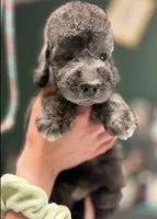 processed/05177ba3-fc76-40b7-b216-c96fab82fbb3/listing/0124428e-c0a7-420f-8f4c-d397c5c64405/444bc0cb-a6b0-4cba-a5fa-daa3120b559b