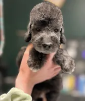 processed/05177ba3-fc76-40b7-b216-c96fab82fbb3/listing/0124428e-c0a7-420f-8f4c-d397c5c64405/7e076363-cc2b-4013-bf61-9cfa6bb24759