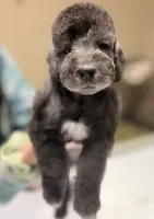 processed/05177ba3-fc76-40b7-b216-c96fab82fbb3/listing/0124428e-c0a7-420f-8f4c-d397c5c64405/8205dcb3-7f4d-48fc-9efb-4905965d82aa