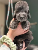 processed/05177ba3-fc76-40b7-b216-c96fab82fbb3/listing/0124428e-c0a7-420f-8f4c-d397c5c64405/b349fcc0-eada-4367-8240-d572209605ba