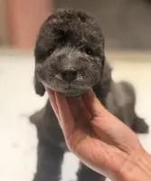 processed/05177ba3-fc76-40b7-b216-c96fab82fbb3/listing/9afd4e77-616b-4c13-944f-e79224969bc1/03cc7bdf-0f89-49d1-874c-a430c3352761