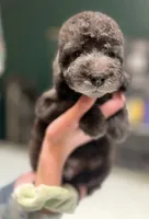 processed/05177ba3-fc76-40b7-b216-c96fab82fbb3/listing/9afd4e77-616b-4c13-944f-e79224969bc1/184edee7-2331-42d7-a8d9-13a1b3d714c8