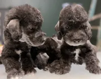 processed/05177ba3-fc76-40b7-b216-c96fab82fbb3/listing/dc73192f-dea6-4e86-b5e3-275f535eab70/224e0f1e-9941-41dc-ad21-c41437826d99