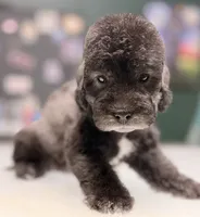 processed/05177ba3-fc76-40b7-b216-c96fab82fbb3/listing/dc73192f-dea6-4e86-b5e3-275f535eab70/8c4bcd02-e5f7-44af-add0-fd91fd8908e0