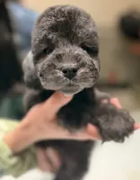 processed/05177ba3-fc76-40b7-b216-c96fab82fbb3/listing/dc73192f-dea6-4e86-b5e3-275f535eab70/d37fbd91-b5bd-4619-a116-57b91dbb45c6