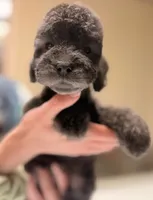 processed/05177ba3-fc76-40b7-b216-c96fab82fbb3/listing/dc73192f-dea6-4e86-b5e3-275f535eab70/e7f9588f-a4d8-4212-83f5-5dcbeb74b373