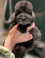 processed/05177ba3-fc76-40b7-b216-c96fab82fbb3/listing/dc73192f-dea6-4e86-b5e3-275f535eab70/e980113c-3a63-4dfc-81cc-6e704a275dc7