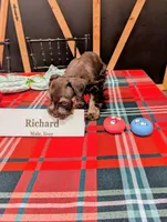 processed/05270719-447f-4b5e-baf9-632da07f3db4/listing/f2f6760c-5664-4b4d-8f83-1973eb4fcd4c/16248317-fa1d-4eb8-a460-fa25ca476212