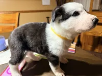 processed/052a83c9-f114-48c9-b82e-ac8b9bdea38e/listing/69cc5dcb-3534-4691-9ca0-480f12ee569a/94adf62f-af88-4c62-b09a-f2b706a9dd6e