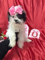 processed/0534a104-c2fb-49fc-a5d6-04959dd097cd/listing/7ff00b5a-283f-4d14-82b8-9215ae3e30d5/514496b2-e1c9-4562-b618-e06afb7f1553