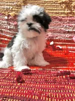 processed/0534a104-c2fb-49fc-a5d6-04959dd097cd/listing/7ff00b5a-283f-4d14-82b8-9215ae3e30d5/60a8ccfe-0278-4516-b722-f9fc23ee0d47