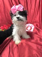 processed/0534a104-c2fb-49fc-a5d6-04959dd097cd/listing/7ff00b5a-283f-4d14-82b8-9215ae3e30d5/6a7c798e-f46a-458e-8911-99b91d23762d