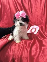 processed/0534a104-c2fb-49fc-a5d6-04959dd097cd/listing/7ff00b5a-283f-4d14-82b8-9215ae3e30d5/c347b663-1c7b-42d2-90a0-aeadd9500a6f