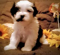 processed/0534a104-c2fb-49fc-a5d6-04959dd097cd/listing/7ff00b5a-283f-4d14-82b8-9215ae3e30d5/deb324a4-8d5b-4c04-bcb5-e0a6d6741e7f