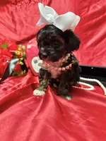 processed/0534a104-c2fb-49fc-a5d6-04959dd097cd/listing/82fd6e2a-7f2a-4745-b194-dec7bfb01a77/11e505e2-25eb-46d0-9803-dfcb0d2da46f