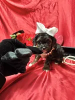 processed/0534a104-c2fb-49fc-a5d6-04959dd097cd/listing/82fd6e2a-7f2a-4745-b194-dec7bfb01a77/3b2e93f0-9ae5-4a75-a81c-b5d8d353e42c