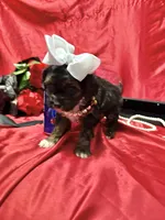 processed/0534a104-c2fb-49fc-a5d6-04959dd097cd/listing/82fd6e2a-7f2a-4745-b194-dec7bfb01a77/54b58737-a339-4871-89fe-6002838f3e6d