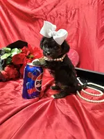 processed/0534a104-c2fb-49fc-a5d6-04959dd097cd/listing/82fd6e2a-7f2a-4745-b194-dec7bfb01a77/829486a4-8459-41de-8670-85b0e217e60f