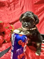 processed/0534a104-c2fb-49fc-a5d6-04959dd097cd/listing/82fd6e2a-7f2a-4745-b194-dec7bfb01a77/8c8c9851-441a-4885-bdcf-098605b53734