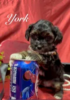 processed/0534a104-c2fb-49fc-a5d6-04959dd097cd/listing/82fd6e2a-7f2a-4745-b194-dec7bfb01a77/911d512a-c21a-4c66-ad48-ce7c004aa2b7