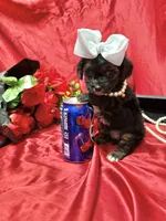 processed/0534a104-c2fb-49fc-a5d6-04959dd097cd/listing/82fd6e2a-7f2a-4745-b194-dec7bfb01a77/926b42db-6e05-4481-9839-ab42f556dc0a