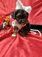 processed/0534a104-c2fb-49fc-a5d6-04959dd097cd/listing/82fd6e2a-7f2a-4745-b194-dec7bfb01a77/9f8f23ed-7d18-4042-acdf-64b658fe07c8