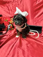 processed/0534a104-c2fb-49fc-a5d6-04959dd097cd/listing/82fd6e2a-7f2a-4745-b194-dec7bfb01a77/b3cec580-b3e6-422c-8cf9-2e71e9a787d3