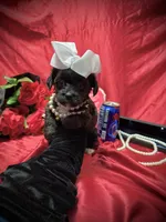 processed/0534a104-c2fb-49fc-a5d6-04959dd097cd/listing/8bff7b9e-1e02-400b-a810-3085239c093b/8ade68d1-8da3-4532-a8ad-c66ece2481c7