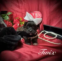 processed/0534a104-c2fb-49fc-a5d6-04959dd097cd/listing/8bff7b9e-1e02-400b-a810-3085239c093b/94f260ea-1ca0-4d06-ae79-0331e36c2098