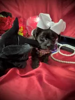 processed/0534a104-c2fb-49fc-a5d6-04959dd097cd/listing/8bff7b9e-1e02-400b-a810-3085239c093b/d28c95ab-ac47-450f-aab4-fccf87e44a98