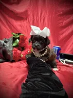 processed/0534a104-c2fb-49fc-a5d6-04959dd097cd/listing/8bff7b9e-1e02-400b-a810-3085239c093b/eeb62c70-da00-454f-9c2f-fb649f0dd8da