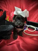 processed/0534a104-c2fb-49fc-a5d6-04959dd097cd/listing/8bff7b9e-1e02-400b-a810-3085239c093b/fada1e89-fd99-43fd-a35e-9f0a9b609f04