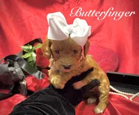 processed/0534a104-c2fb-49fc-a5d6-04959dd097cd/listing/914096de-bfd8-4f1b-be18-ab55d753cadc/904d9394-fedf-4052-b632-be660221dd4f