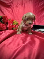 processed/0534a104-c2fb-49fc-a5d6-04959dd097cd/listing/914096de-bfd8-4f1b-be18-ab55d753cadc/93590dfb-b816-4581-9b55-adc764afc09e