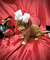 processed/0534a104-c2fb-49fc-a5d6-04959dd097cd/listing/914096de-bfd8-4f1b-be18-ab55d753cadc/a2aa9cd3-9640-4f91-a304-9cc26f74dc24