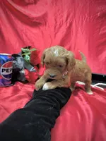 processed/0534a104-c2fb-49fc-a5d6-04959dd097cd/listing/914096de-bfd8-4f1b-be18-ab55d753cadc/cee5974d-e783-4299-985d-22a0838fe6ec