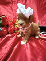 processed/0534a104-c2fb-49fc-a5d6-04959dd097cd/listing/914096de-bfd8-4f1b-be18-ab55d753cadc/cfaa8b63-a161-4342-be17-6ff2c2f033b0