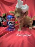 processed/0534a104-c2fb-49fc-a5d6-04959dd097cd/listing/914096de-bfd8-4f1b-be18-ab55d753cadc/d41735f0-2e05-4b83-9444-63de413df2e3